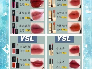 如何解决 YSL 千人千色 8610 选色难题？