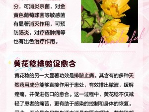 huangsemanhua 是什么？有什么作用？如何正确使用 huangsemanhua？