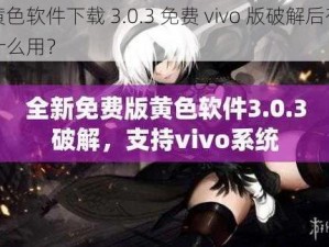 黄色软件下载 3.0.3 免费 vivo 版破解后有什么用？