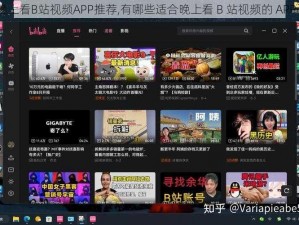 适合晚上看B站视频APP推荐,有哪些适合晚上看 B 站视频的 APP 推荐？