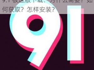 9.1 极速版下载：为什么需要？如何获取？怎样安装？