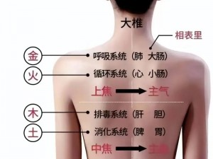 为什么有人体九布？如何进行九布人体？九布人体有什么作用？