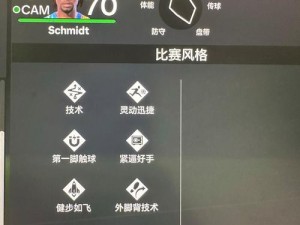 FIFA14 青训球探系统经验心得：揭秘如何发现足球天才