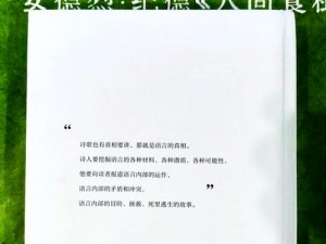 上古卷轴5印制字典：探索游戏世界的语言奥秘与历史文化深度解读