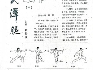 热血无赖：武术招式升级解析的热血传奇之路