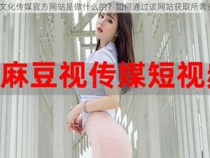 麻豆文化传媒官方网站是做什么的？如何通过该网站获取所需资源？