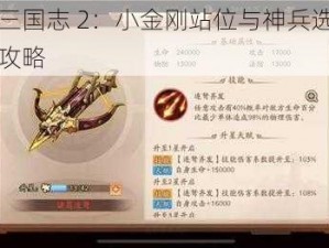 少年三国志 2：小金刚站位与神兵选择的实战攻略