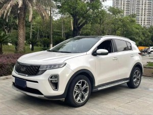 亚洲无人区码SUV_在亚洲无人区，一辆神秘的 SUV 引起了人们的注意，它的车牌号是……