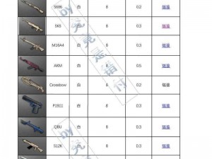 绝地求生大逃杀全面对比指南：详解各武器性能与实战应用