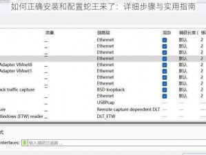 如何正确安装和配置蛇王来了：详细步骤与实用指南