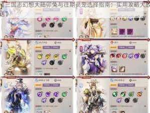 《三国志幻想大陆卯兔与往期灵宠选择指南：实用攻略大放送》