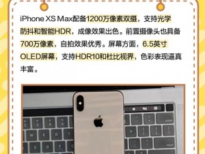 为什么 iPhone XS Max 在欧美备受青睐？如何彰显其高级质感？欧美用户有哪些使用技巧？