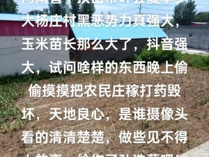 农村人乱弄一区二区;农村人乱弄一区二区，到底是怎么回事？