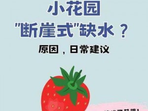 为什么寻找秘密花园入口如此困难？怎样才能找到秘密花园入口？