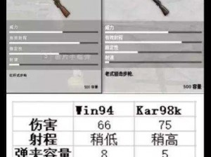 《绝地求生新武器 win94 原型介绍：了解它，才能更好地应对游戏挑战》