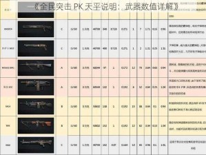 《全民突击 PK 天平说明：武器数值详解》