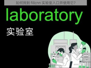 如何找到 fillcnn 实验室入口并使用它？