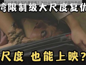 毛片免费全部免费观看？为什么还有这么多限制条件？