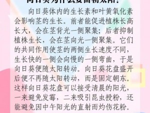 已年满 18 岁，为何还在寻找葵花宝典？如何进入？