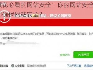 小黄花必看的网站安全：你的网站安全吗？如何确保网站安全？