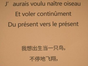 如果世界不解歌曲语言之深意，诠释艺术新探索之路如何展延无限魅力？