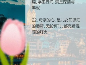 妈妈已经是你的女人了歌曲，集爱情、家庭、伦理于一体，以最真实的情感表达了对母爱的赞美