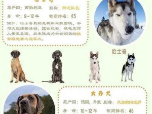 皇后接待藩王时神犬的名字有何寓意？为何它备受关注？