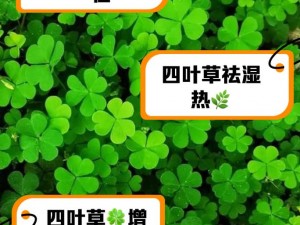 玩游戏时怎样才能找到四叶草？