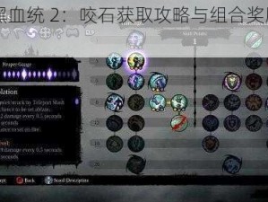 《暗黑血统 2：咬石获取攻略与组合奖励大全》