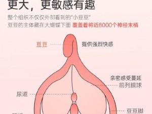 Brazzerssexxx - 带来极致成人娱乐体验的产品