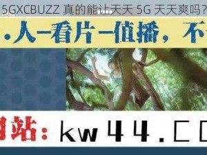 5GXCBUZZ 真的能让天天 5G 天天爽吗？