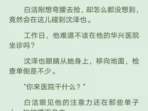 白洁高义张敏小说为什么如此受欢迎？如何评价白洁高义张敏小说？