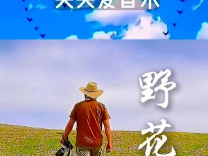 野花视频高清视频在线观看：为什么不能流畅播放？如何解决？