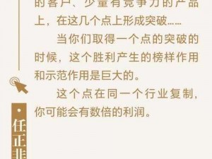 关于打造世界火蚂蚁打法心得的实践与探索：从实战中汲取智慧，共创未来战略新篇章