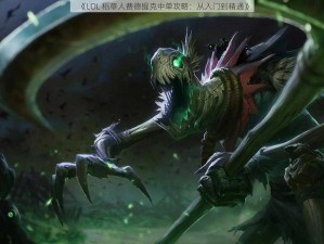 《LOL 稻草人费德提克中单攻略：从入门到精通》