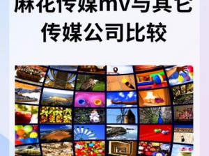 麻花传媒 MV 一二三有何区别？揭秘不同之处