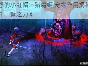 《愤怒的小红帽：猎魔姬 宠物作用揭秘：助你战斗一臂之力》