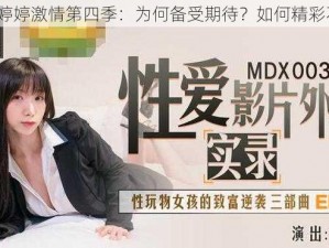 五月婷婷激情第四季：为何备受期待？如何精彩不断？