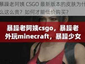 暴躁老阿姨 CSGO 最新版本的皮肤为什么这么贵？如何才能低价购买？