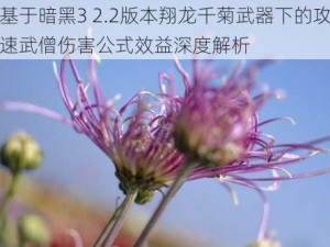 基于暗黑3 2.2版本翔龙千菊武器下的攻速武僧伤害公式效益深度解析