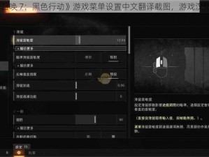 《使命召唤 7：黑色行动》游戏菜单设置中文翻译截图，游戏汉化先行者