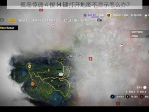 孤岛惊魂 4 按 M 键打开地图不显示怎么办？