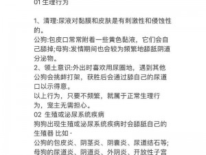 老公不在家，狗狗的东西能要吗？为什么-如何-怎样处理？