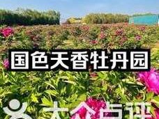 国色天香社区视频免费高清，聚合海量精彩视频资源，涵盖各种类型，满足您的多样化需求