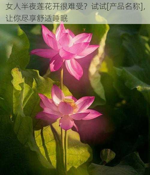 女人半夜莲花开很难受？试试[产品名称]，让你尽享舒适睡眠