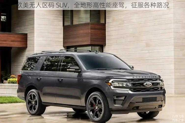 欧美无人区码 SUV，全地形高性能座驾，征服各种路况