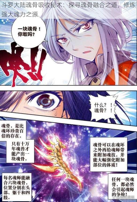 斗罗大陆魂骨吸收秘术:探寻魂骨融合之道,修炼强大魂力之源