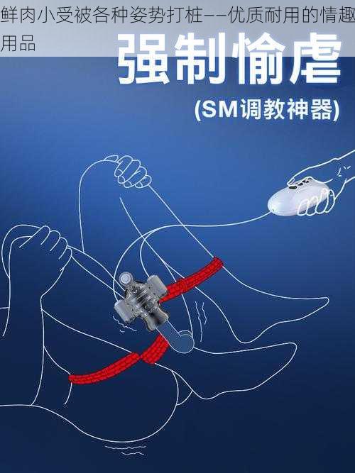 鲜肉小受被各种姿势打桩——优质耐用的情趣用品