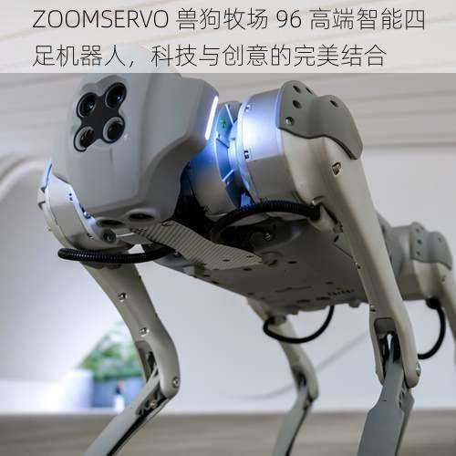 ZOOMSERVO 兽狗牧场 96 高端智能四足机器人，科技与创意的完美结合