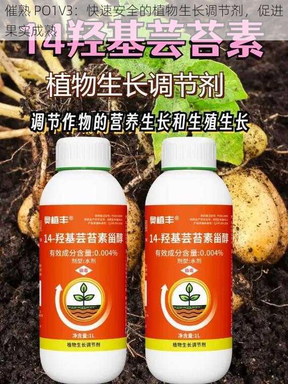 催熟 PO1V3：快速安全的植物生长调节剂，促进果实成熟